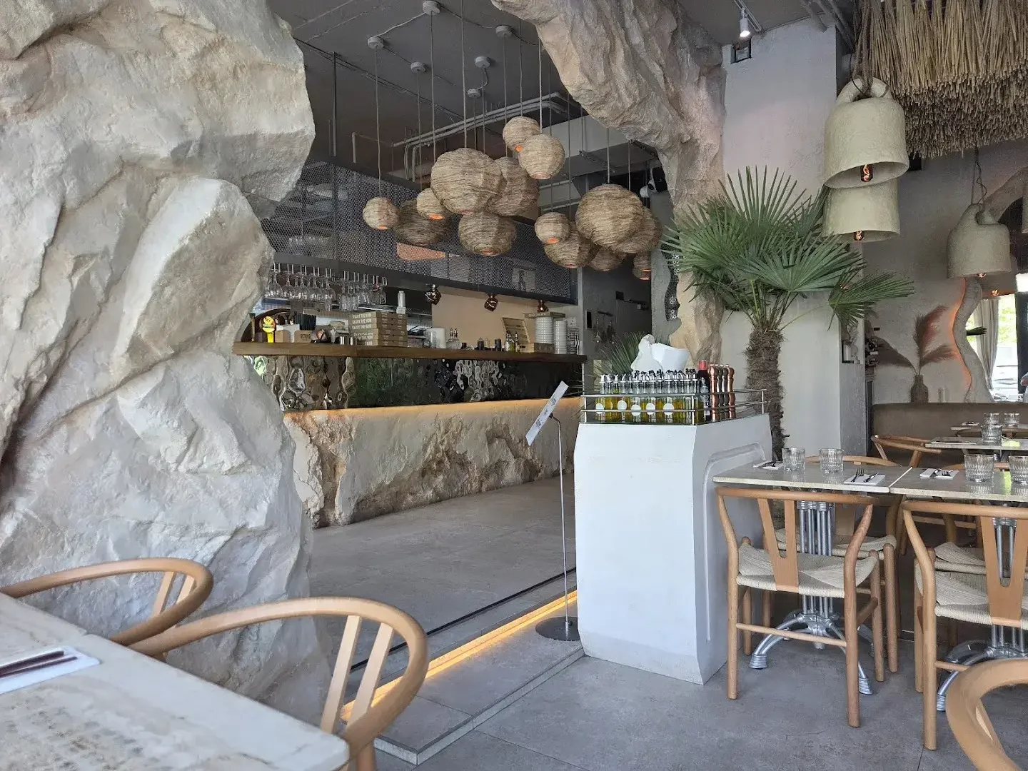 Pared de hormigón crudo, revestimiento de madera y una palmera en la sala